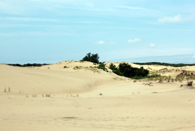 Jocky Ridge Dunes 2012